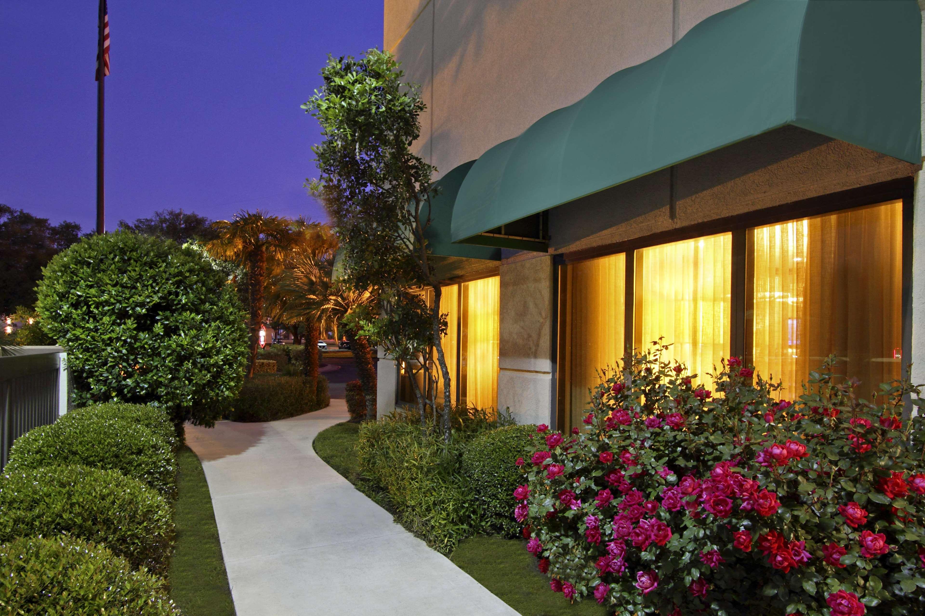 Hampton By Hilton Austin South - I-35 & Ben White Hotel Bagian luar foto